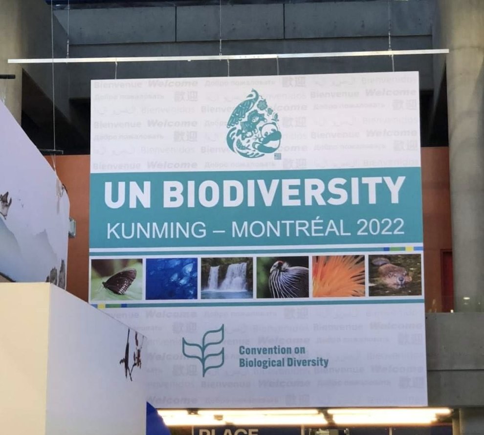 ArramatProject's tweet photo. Our delegation has arrived at #COP15 ! 

We're looking forward to the next week of learning  &amp; working together to safeguard Mother Earth for the present and future generations. If you are there, do not hesitate to let us know by sending us a message!

#ArramatProject https://t.co/qe4kvW1uJb