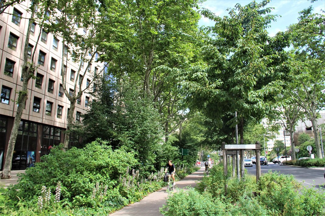 CremontAnthony's tweet photo. Le réchauffement climatique menace nos arbres alors qu’ils sont nos meilleurs alliés pour rafraîchir nos villes.
Choix des essences 🌳, renaturation des sols, perméabilité 💧 , albédos ☀️… tout doit être pris en compte pour planter durablement!
https://t.co/NUNv4rvp54 https://t.co/EihI8t0wKy
