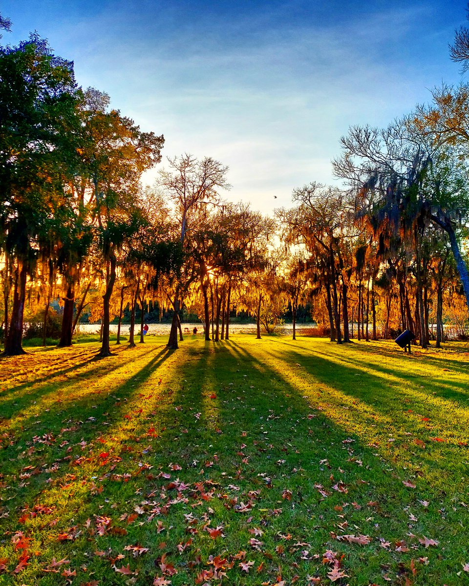 melin tweet media