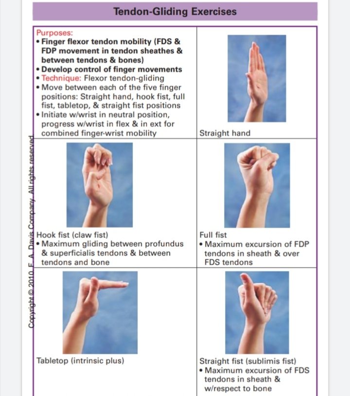 Tendon gliding ❤️