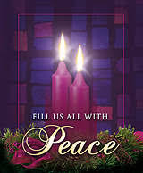MaryfromMarin's tweet photo. .#ccot #tcot #RenewUS #Advent @peace #SecondSundayinAdvent https://t.co/5QTUT78Lne