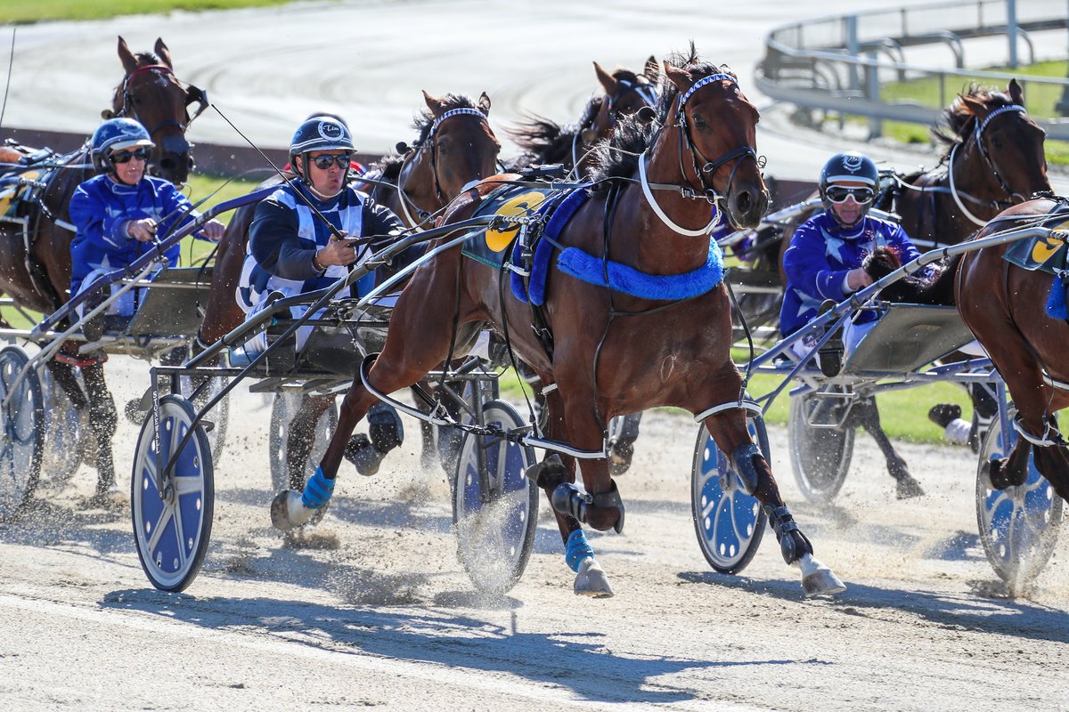 nzbstandardbred's tweet photo. #BDJoe (NZ) (Roll With Joe) showed he is right on track for his next Group One tilt with his scintillating win in the $28,000 Group Three East West Fencing Summer Cup Free-For-All (1980m) at @AddingtonNZ on Sunday.🔥
📰: https://t.co/ROQAc8KiTj https://t.co/0R4aer7nmZ
