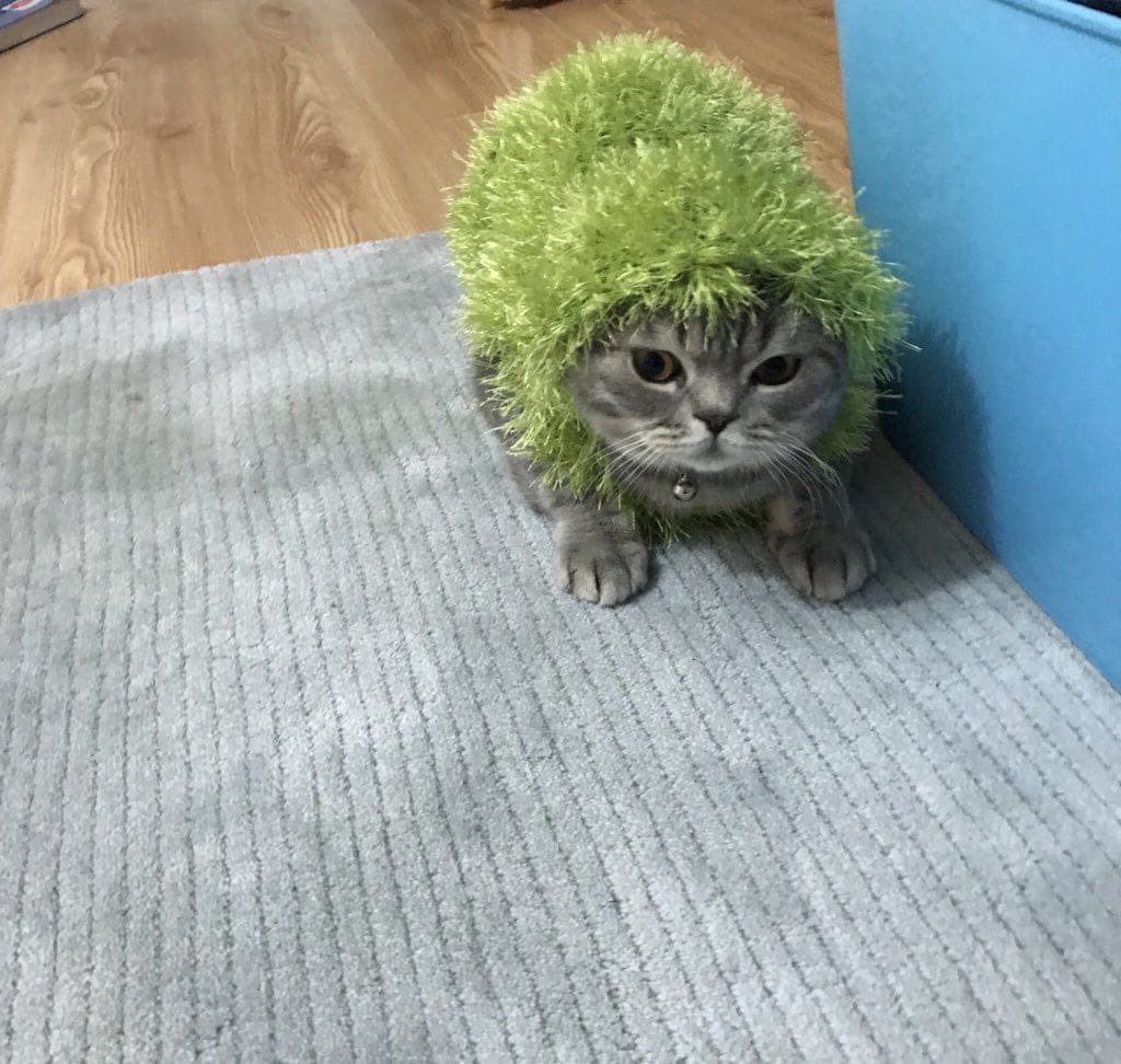 ben o duvarlara çarpa çarpa nasır tuttum, ağlaya ağlaya yosun tuttum..