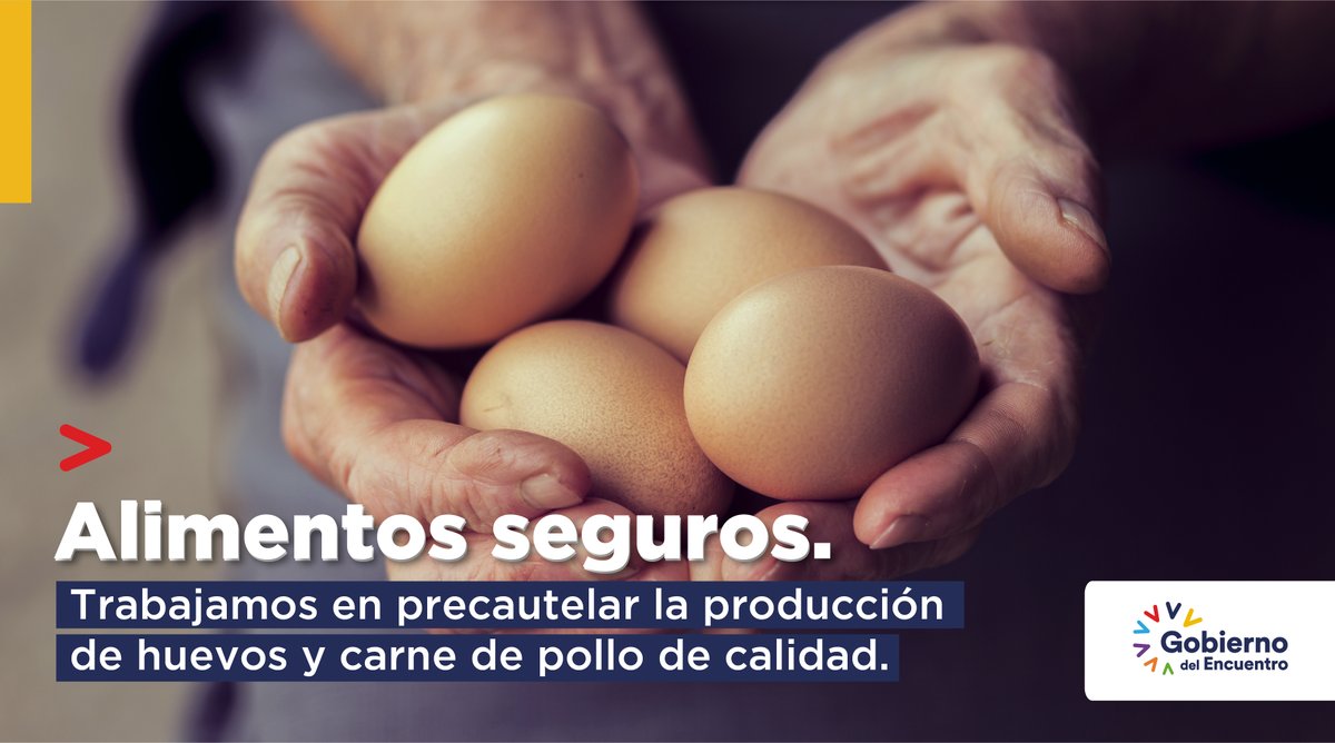 AgriculturaEc's tweet photo. .@AgrocalidadEC detectó el brote de influenza aviar durante controles de prevención en una granja de Cotopaxi. Tras la alerta, el MAG instauró un cerco epidemiológico para controlar la propagación de la enfermedad a otras granjas. #SinInInfluenzaAviar https://t.co/1PMu6YSceO