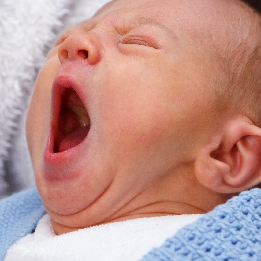 BradcliffB's tweet photo. What is a yawn? Yawning is a motor action (meaning physical). Where there is a big breath in and shorter slow one out. This stretches the lungs and may even be associated with a body stretch. 
#yawning #breathing #breathewell #lungs #bodystretch https://t.co/ipZ3unukjP