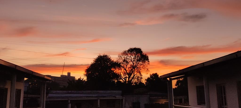 c_hioo's tweet photo. Si algún día soy yo, busquenme en un atardecer rosita con naranja ✨🧡 https://t.co/TAXC90yelG