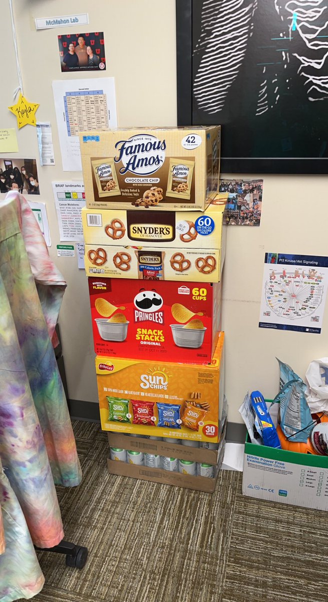 Kayla O’Toole tweet media