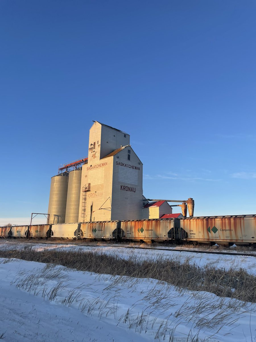 Couldn’t convince Erin to tour SK this time of year