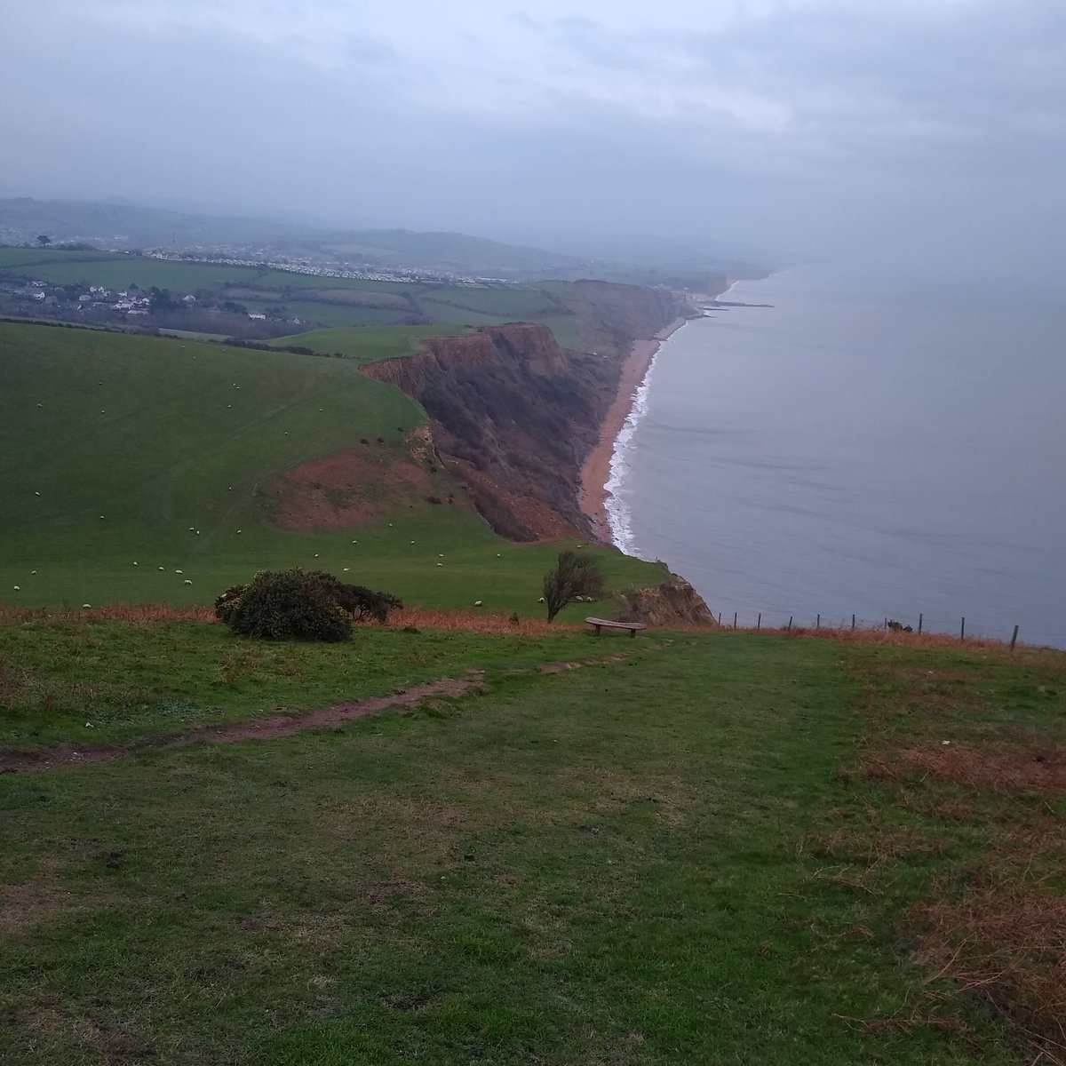 A gentle jog down to and along the #jurassiccoastline before darkness descended. All part of building up the distance for #ultras in 2023 <a href="/RunUltra_UK/">RunUltra</a> #Dorset #westbay #eype #seatown <a href="/UKRunChat/">UKRunChat</a> <a href="/RunMetros/">Metros Running Club</a>