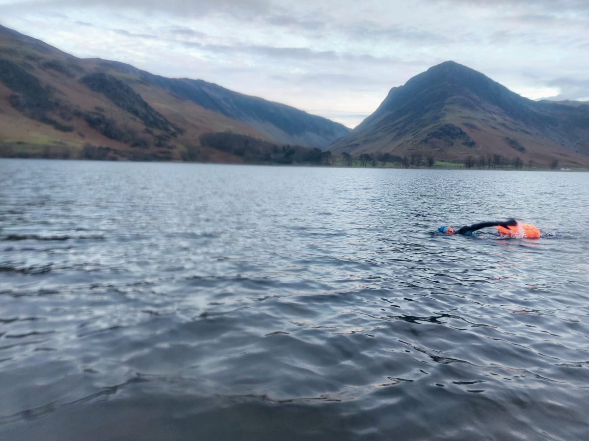 Frog Graham Round tweet media