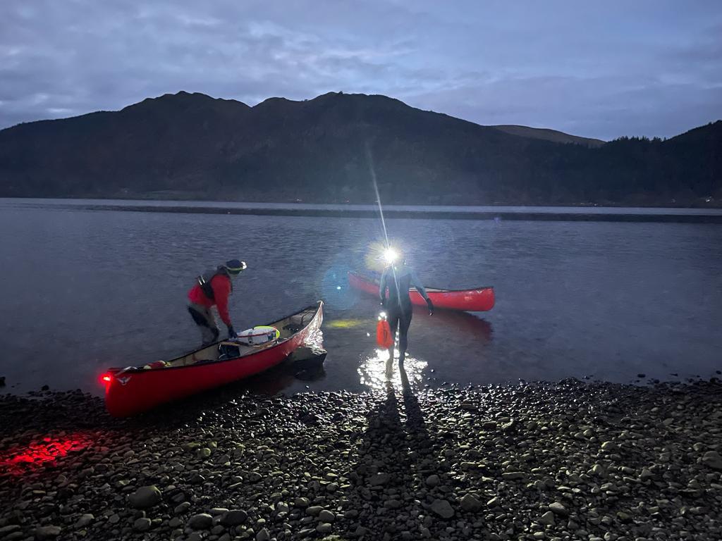 Frog Graham Round tweet media