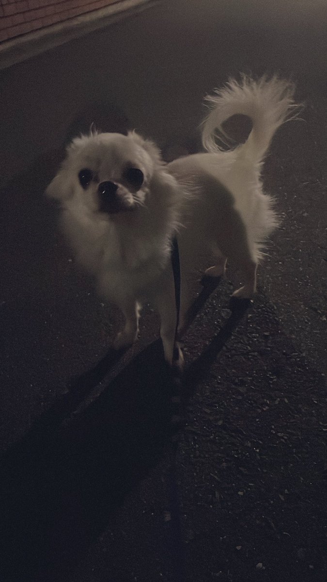 IxxxCh's tweet photo. おはよーございます☀
昨日のクラン交流の集合写真🥰
後約3日ぶりに外の空気吸ってきた🥺
うん。寒すぎました(´ºωº`)💔💔
って事で寝ます。おやすみなさい。
#CoDモバイル #BR勢
#クラン交流会 #集合写真
#インフル #気をつけよう #ばい菌マン
#ゲームの名前ください
#NG_〇〇お願いします https://t.co/Mri0PqOb0n