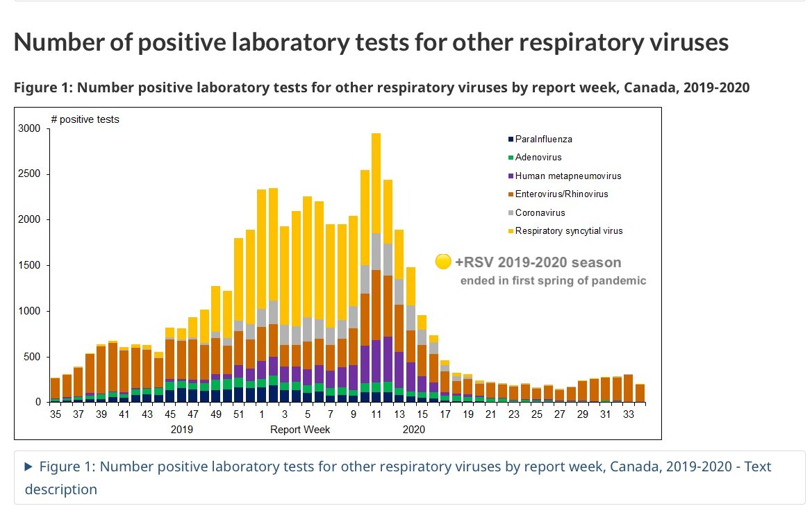 javedalloo's tweet image. Still trying to make sense of why so many kids hospitalized by #RSV right now?
Canada: more RSV last winter (2021-22) than pre-pandemic (2019-20) after 2020-21 gap-year; also greater RSV positivity last winter than now (2022-23)... yet more kids being hospitalized now

#CDNhealth