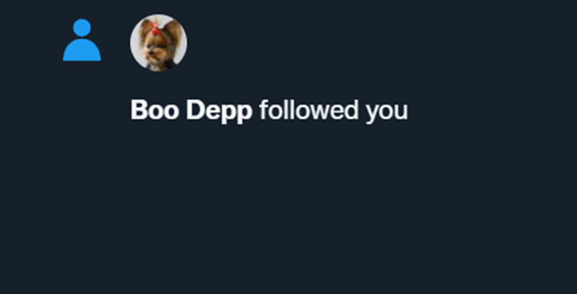 MsShiny_1997's tweet photo. I love you all, I truly do - but this is without DOUBT my absolute favourite follower! 🤣🤣❤️❤️
#JusticeForBoo #JohnnyDeppIsALegend https://t.co/1AaVgYEcfb