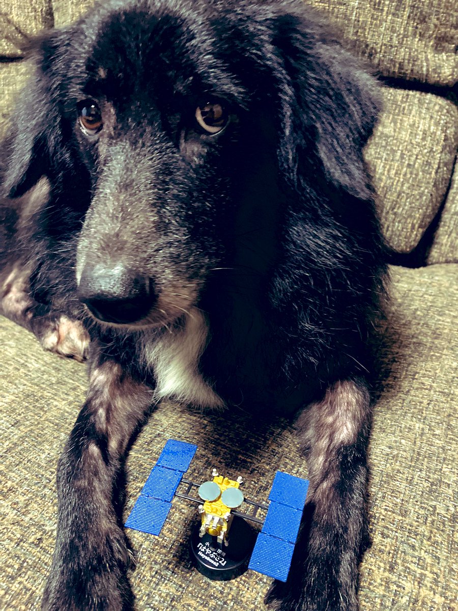 fran_to_cisco's tweet image. 「はやぶさ2」とシスコちゃん