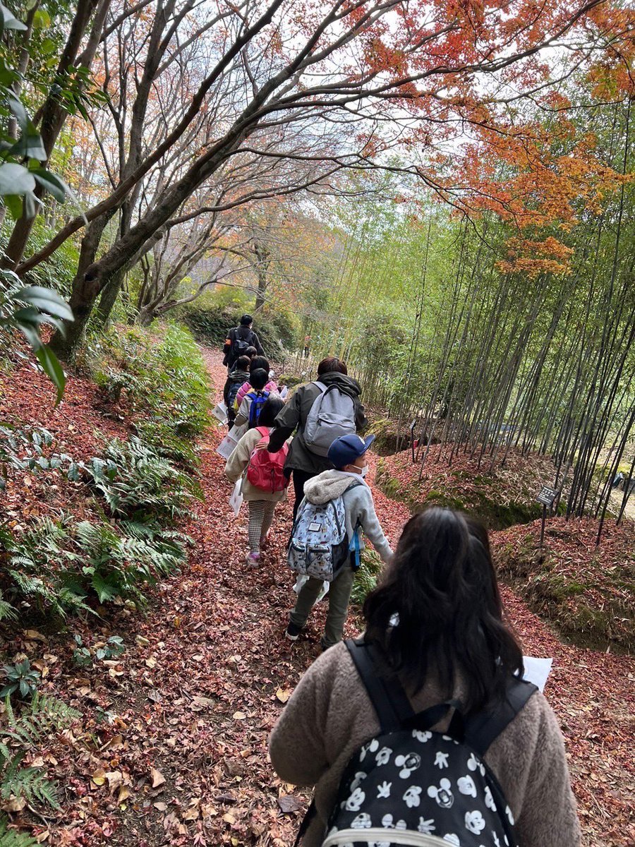 volusuta19's tweet photo. 【活動紹介】
低学年向けアウトドア活動🍁

12/4(日)に、交野市の「大阪公立大学附属植物園」を、交野市の小学生と探索しました🚶✨

目指せ植物マスター❗️を目標に、みんなで植物について学びました📖✏️

ボラスタ気になるなって方！気軽にDMまで📲 https://t.co/VESZTsCRK4
