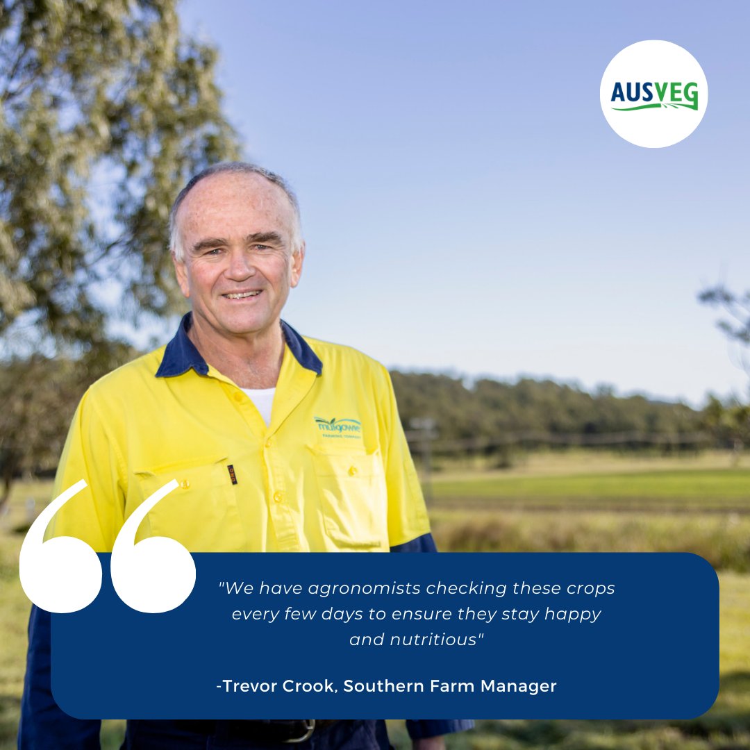 There is a lot of work that goes into getting your vegetables on your forks! And it all starts with healthy soil and plants.

#WorldSoilDay #healthysoil #healthyplant #vegetables #veggies #ausveg #aussieag #soil #plant #crop #harvest22