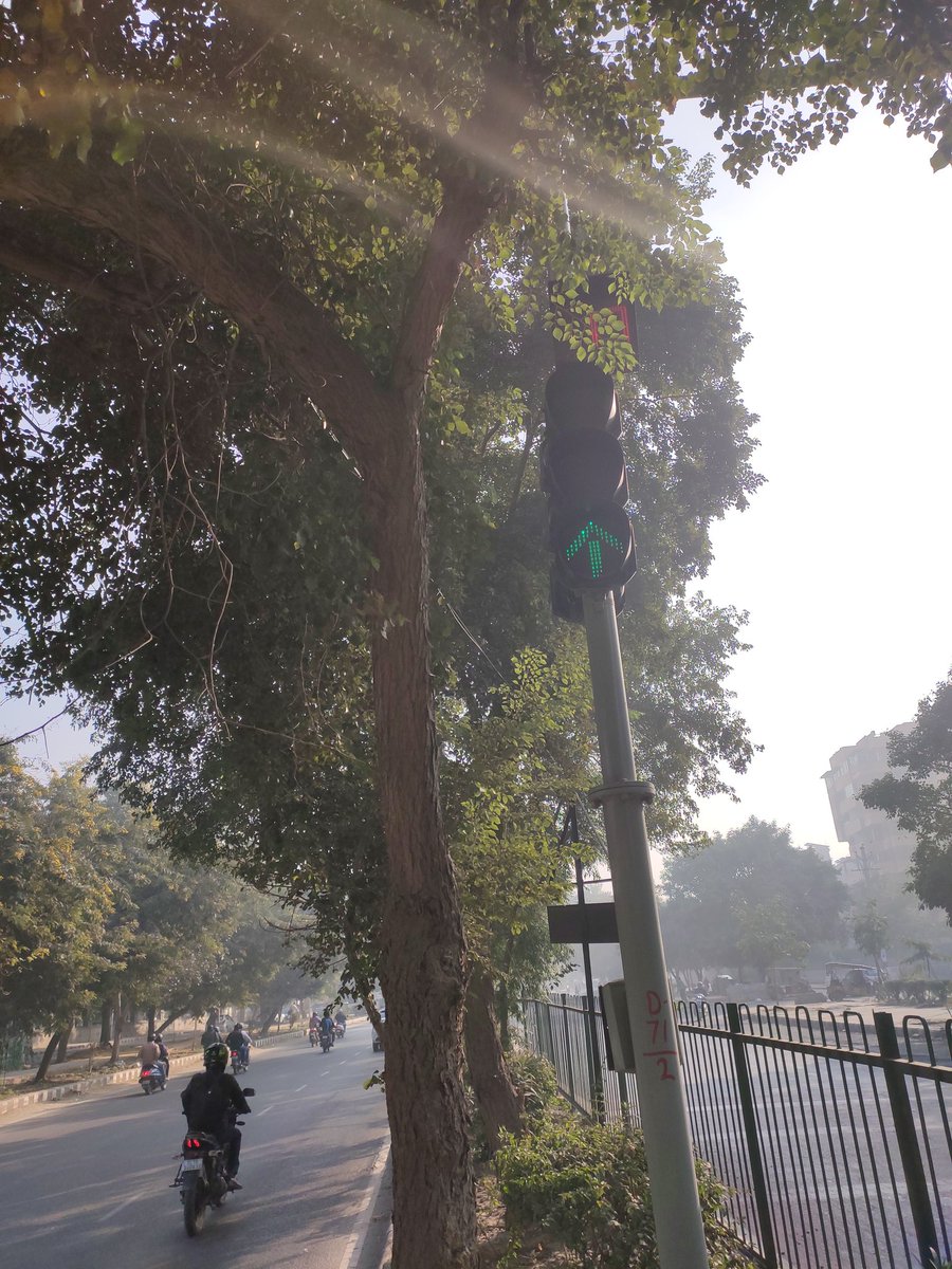 SocialMadhukar's tweet photo. @DelhiTrafficPol @MCD_Delhi @official_dda 
There is a redlight in Dwarka Sec 3 at Ekta Apartments is completely covered by trees. The signal 🚦 dangerous for crossing the road as mostly car and bike riders are unable to follow the rules due to poor visibility of signal. https://t.co/GDeNeyvwha