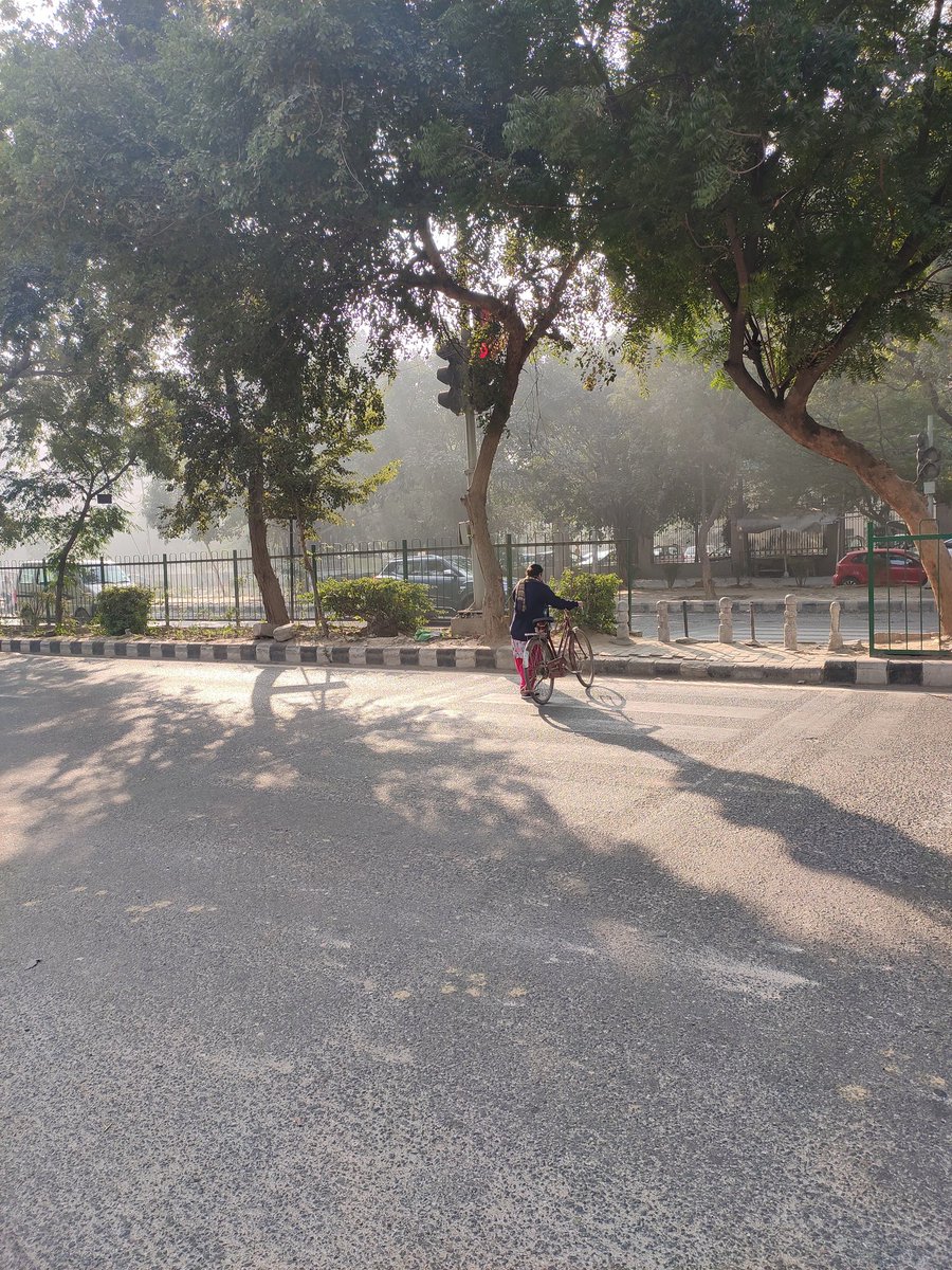 SocialMadhukar's tweet photo. @DelhiTrafficPol @MCD_Delhi @official_dda 
There is a redlight in Dwarka Sec 3 at Ekta Apartments is completely covered by trees. The signal 🚦 dangerous for crossing the road as mostly car and bike riders are unable to follow the rules due to poor visibility of signal. https://t.co/GDeNeyvwha