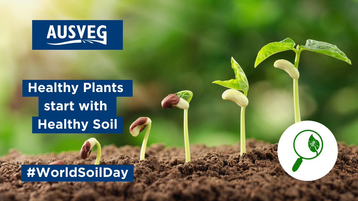 Healthy soils are essential to the productivity of our crops &amp; food security 🌏🥕🧅🥦🥔
Simple farm practices like cleaning muddy boots &amp; machinery are some of the easiest ways to reduce the risk of spreading disease in crops! 
 #worldsoilday #biosecurity bit.ly/3cCtpvN