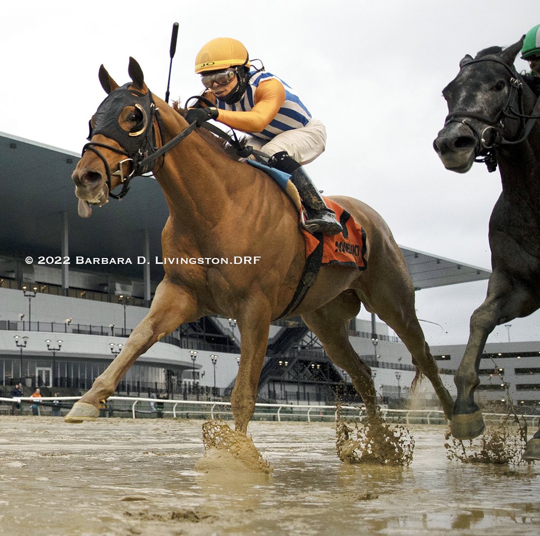 Flying Partners Racing tweet media