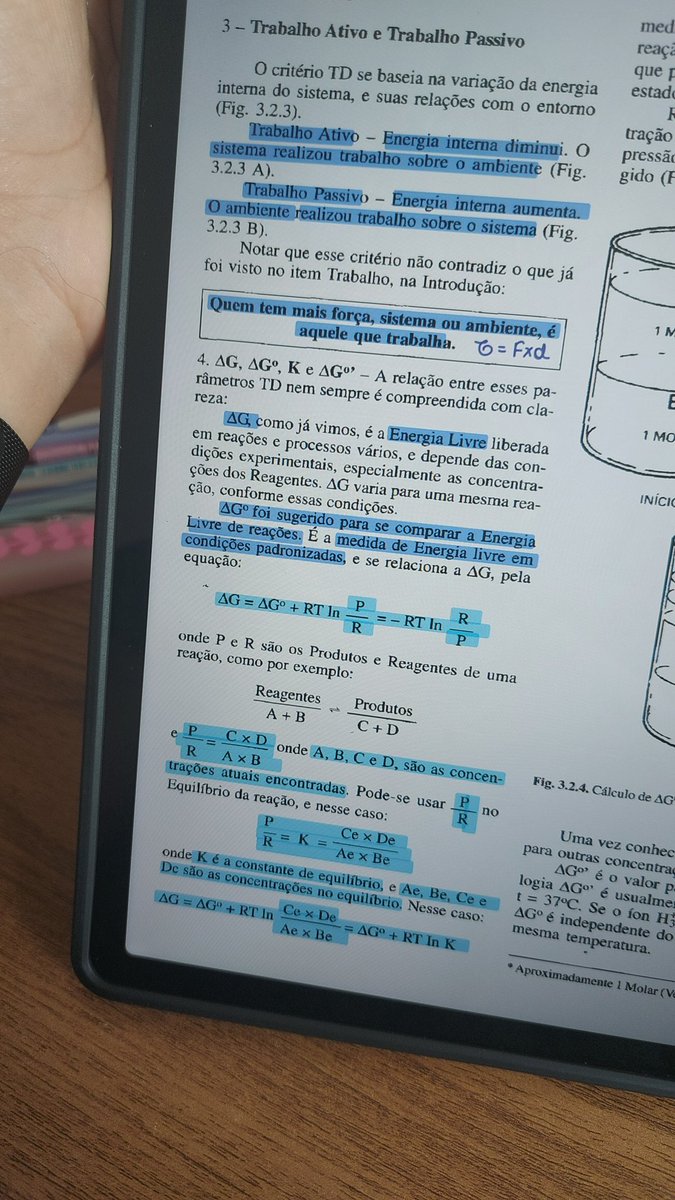 iestudiesbr's tweet image. 🧬 DICAS PARA ESTUDAR EM CASA DE MANEIRA MAIS MOTIVADA A THREAD 🧬
#collegetwt #studytwt