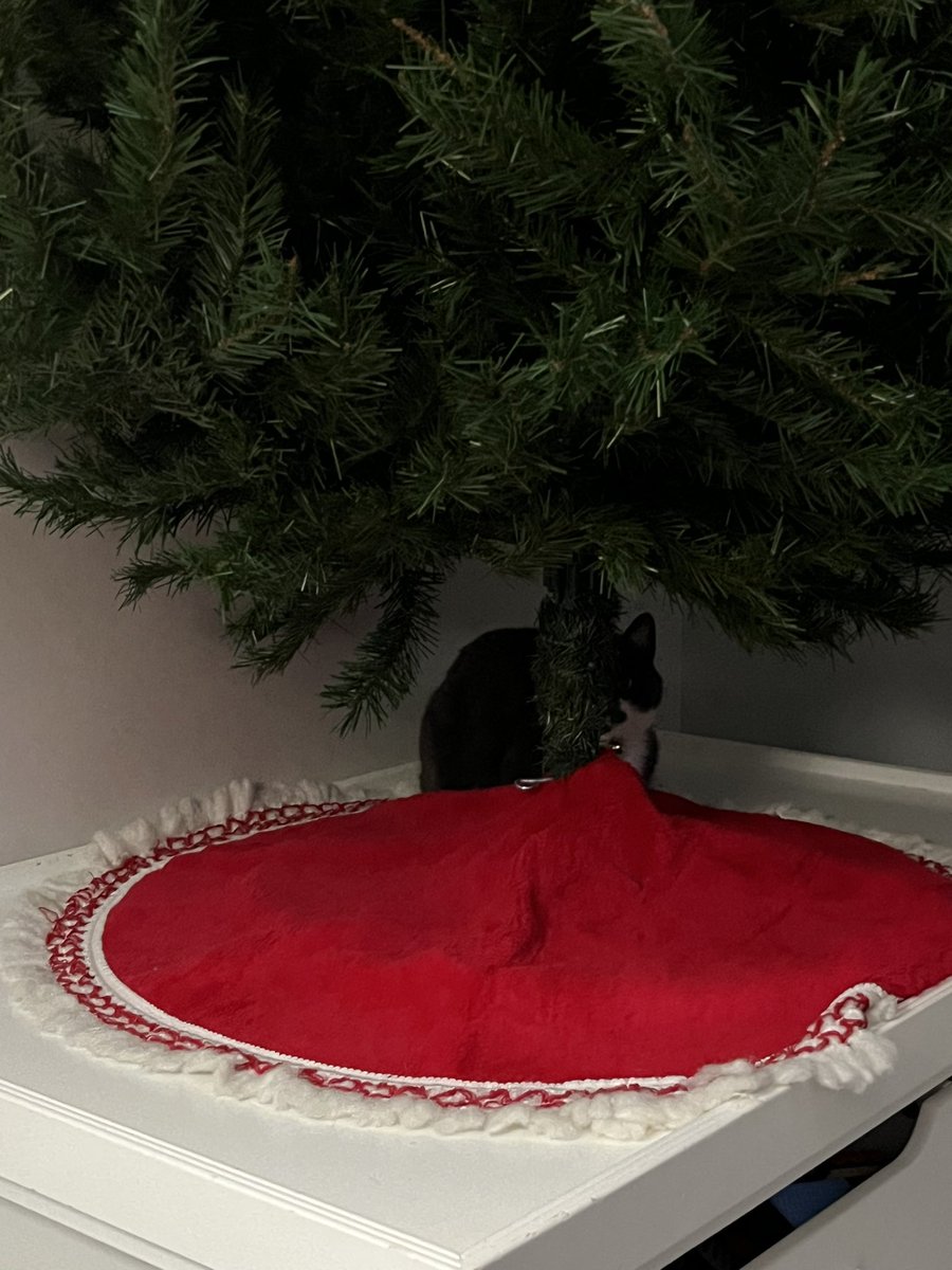 BurtyButt's tweet image. Creepin from under the Christmas tree. "He sees you when your sleeping..."