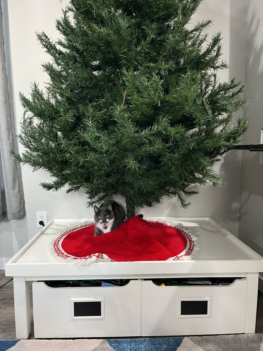 BurtyButt's tweet image. Creepin from under the Christmas tree. "He sees you when your sleeping..."