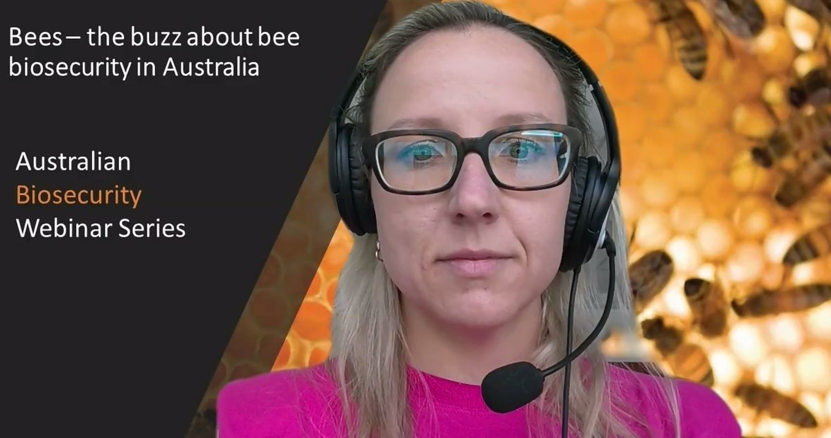 PHA’s own Jenny Shanks recently presented in a webinar on bee #biosecurity, run by <a href="/DAFFgov/">Department of Agriculture, Fisheries and Forestry</a> Jenny is the manager of our bee biosecurity and surveillance program and was happy to share her insights on such an important topic.