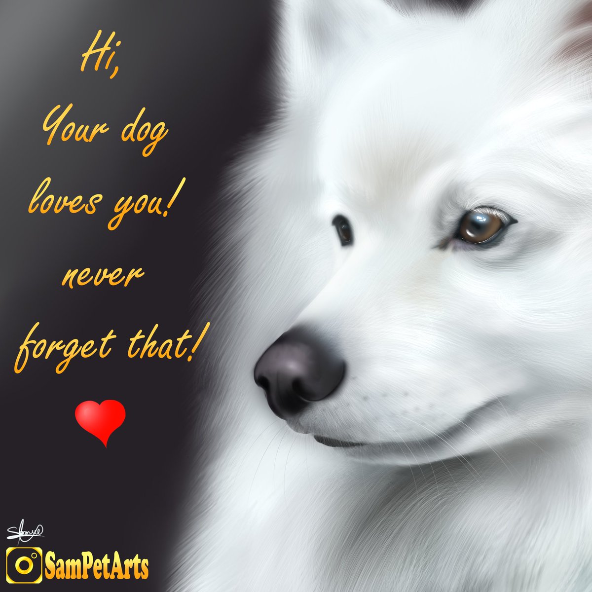 sampetarts's tweet photo. ❤️When you need help the most, ...
🐾Your #dog will always be by your side giving you strength and motivation🤗❤️

🎨My dog #painting! 🖌️

Did you like it?
Please support with ❤️

Follow me for more!!
👉@sampetarts

#dogsoftwitter #doggy #dogportrait #portrait #puppy #Puppies https://t.co/RRHYZXX5jo