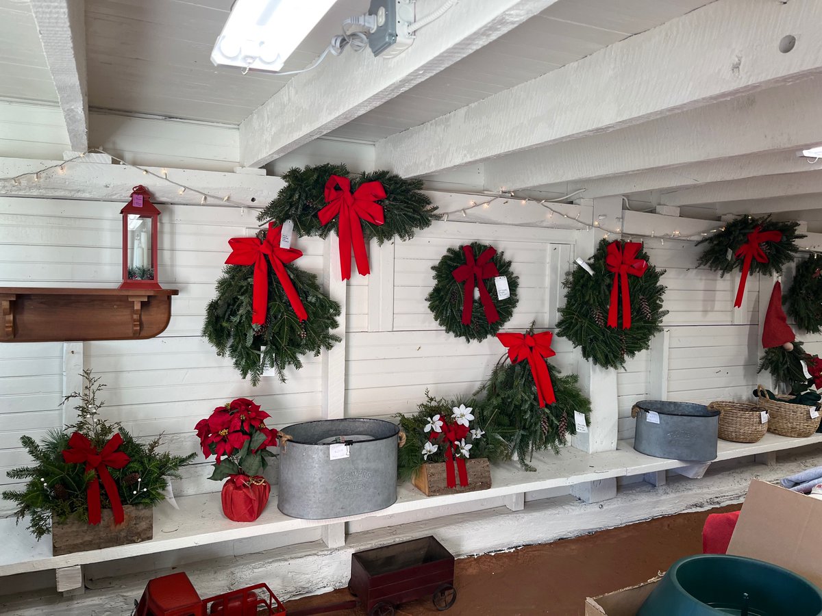 Em_Sitko's tweet photo. Beautiful day on the farm! ‘Tis the season… 🎄   #familyfarm #supportlocalbusiness https://t.co/v56CmYGvV8