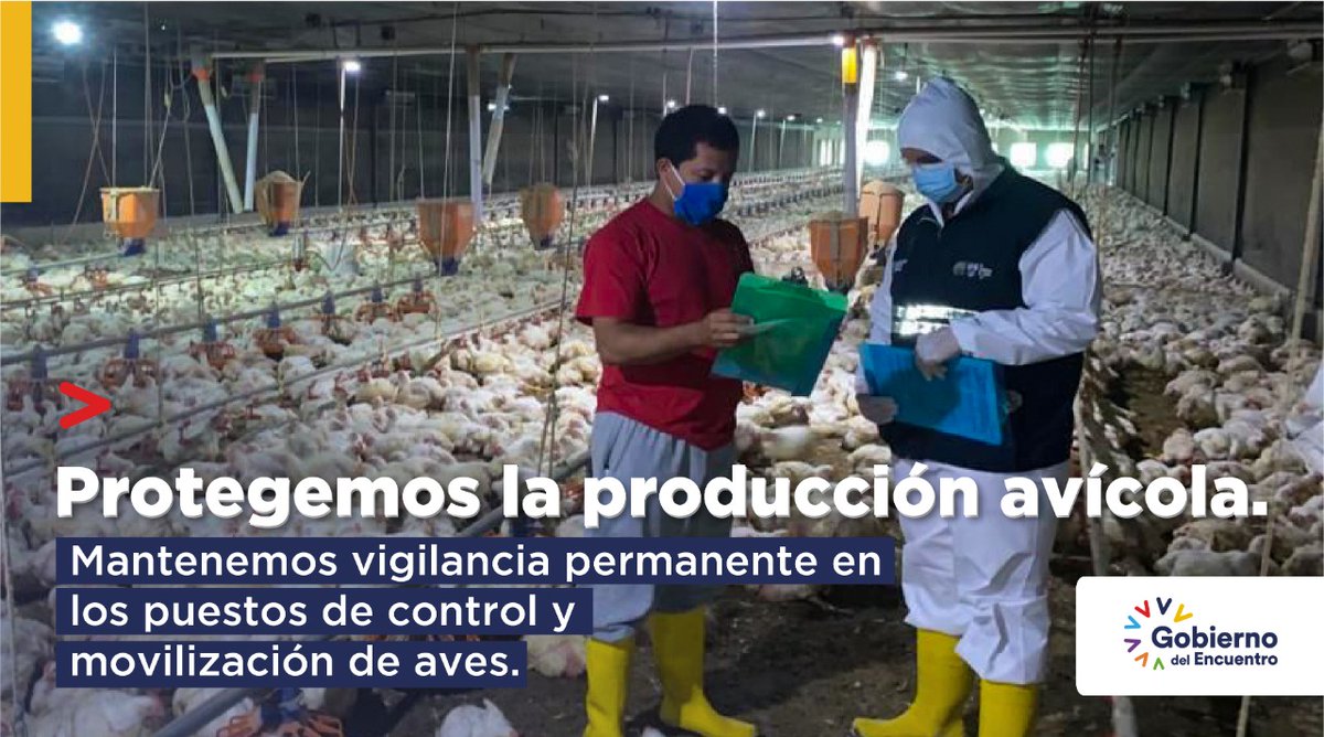 AgriculturaEc's tweet photo. Las granjas que forman parte de la zona donde se detectó la presencia de influenza aviar están en vigilancia y control permanente, como dispone la declaratoria de emergencia zoosanitaria. 
 
Trabajamos juntos por un Ecuador #SinInfluenzaAviar. https://t.co/S9JqN1lP4B