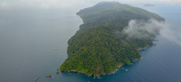 Elevemos nuestra voz de protesta para exigirle a <a href="/petrogustavo/">Gustavo Petro</a> que frene el crimen ambiental que generará una base militar al servicio de Estados Unidos en la Isla Gorgona.
#NoALaBaseMilitarEnGorogona #SalvemosParqueGorgona
