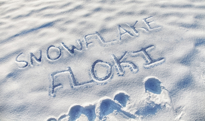 SnowflakeFloki's tweet photo. @MrTastycalls ❄️ You want to SNOW a secret?? Snowflake Floki is about to become a blizzard in #BSC!!! #Crypto #SnowflakeFloki #Floki #DeFi

https://t.co/f6reFeuZVq https://t.co/UrNveqwzOm