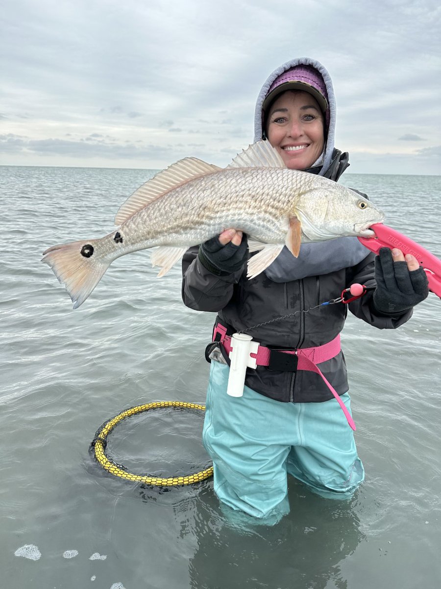 CCA_Texas's tweet image. Shout out to Janelle Weller (and her photographer) of our Aransas Bay Chapter for braving the heavy wind and cold, especially in waders. No doubt her dedication was rewarded!

📸: Greg Weller

#JoinCCA