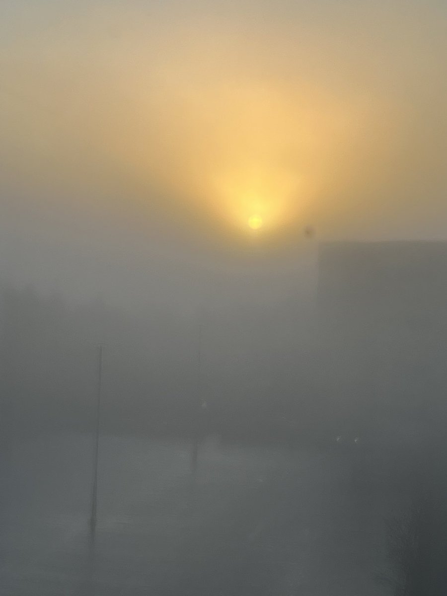 firelight_photo's tweet photo. Both of these were taken on the same day, the first in the morning as the sun tried to break through the fog and the second in the evening. I love how it’s so difficult to tell what time of day it is.

#foggyweather #amateurphotography #firelightphotography2022 https://t.co/8G4yuuhP86