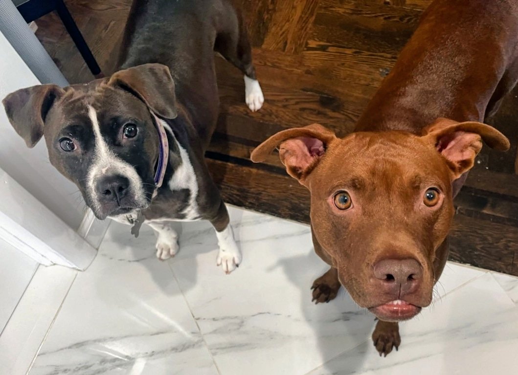 Andrew Santeusanio, PharmD tweet media