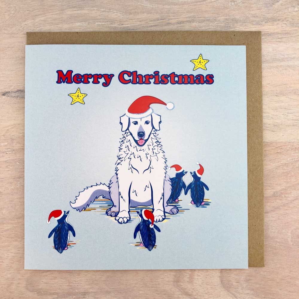 WboolPenguins's tweet photo. Lucky Little Penguins design and sell Middle Island Penguin Project themed Christmas Cards! 🐧🐶🎄$1 from every sale is donated towards our work! Get yours now https://t.co/LdYvePilsd https://t.co/HjB90pgOfb