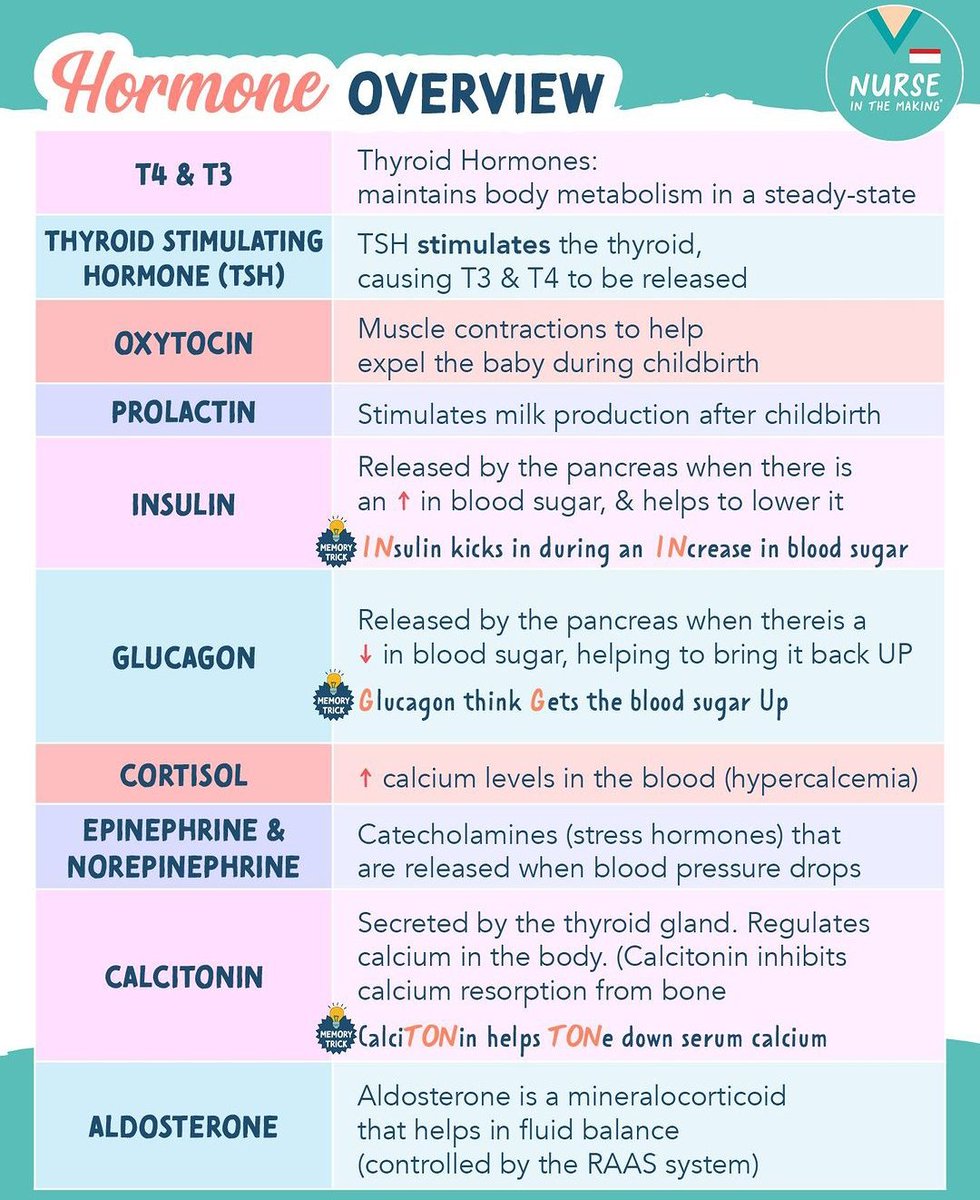 NurseHann100's tweet photo. HORMONE OVERVIEW https://t.co/JTINGyWfaE