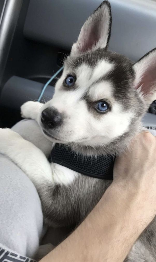 boa noite do cleonildo 👋🏻