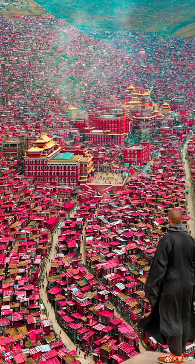 唐华斑竹🦅 tweet media