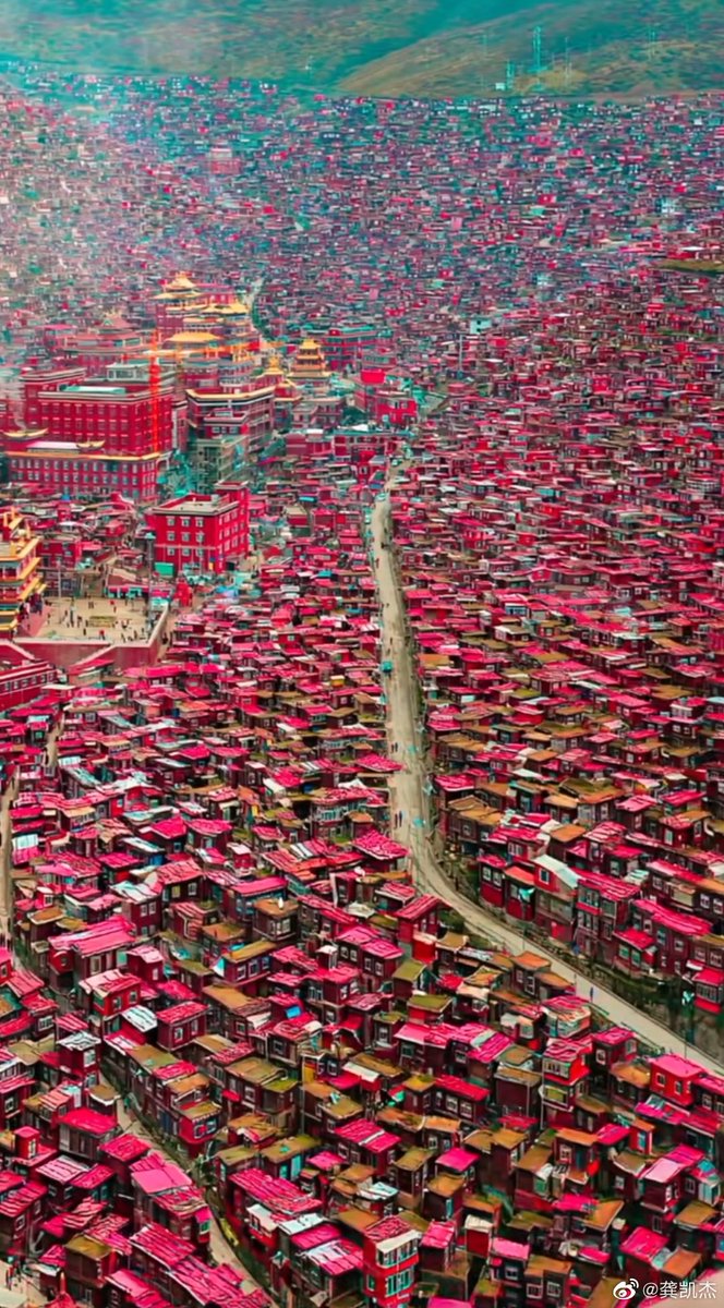 唐华斑竹🦅 tweet media