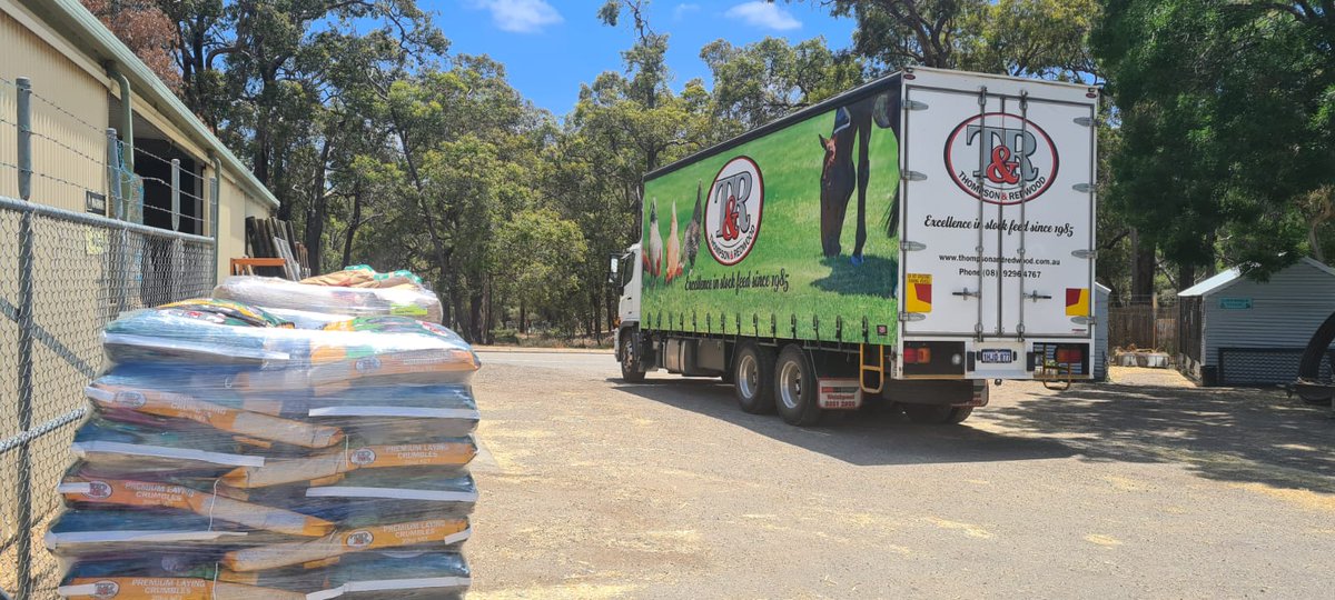 ThompsonRedwood's tweet photo. Delivery time at Stockfeeds West Sawyers Valley - and the new truck is looking good!
#localbusiness #stockfeeds #stockfeed #australianmade https://t.co/ykzkSbHoUA