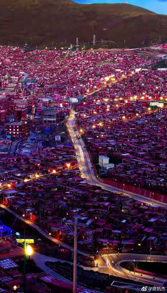 唐华斑竹🦅 tweet media