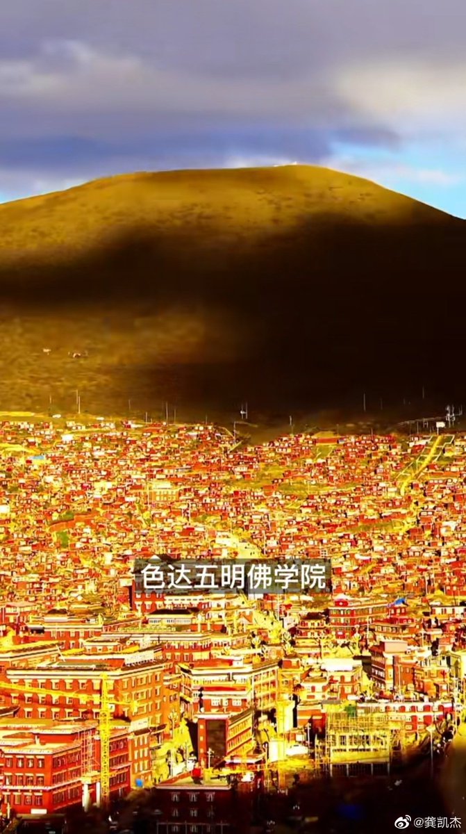 唐华斑竹🦅 tweet media