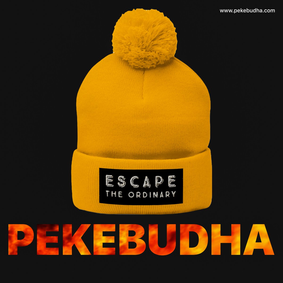 pekebudha's tweet photo. https://t.co/oD6jWr833U