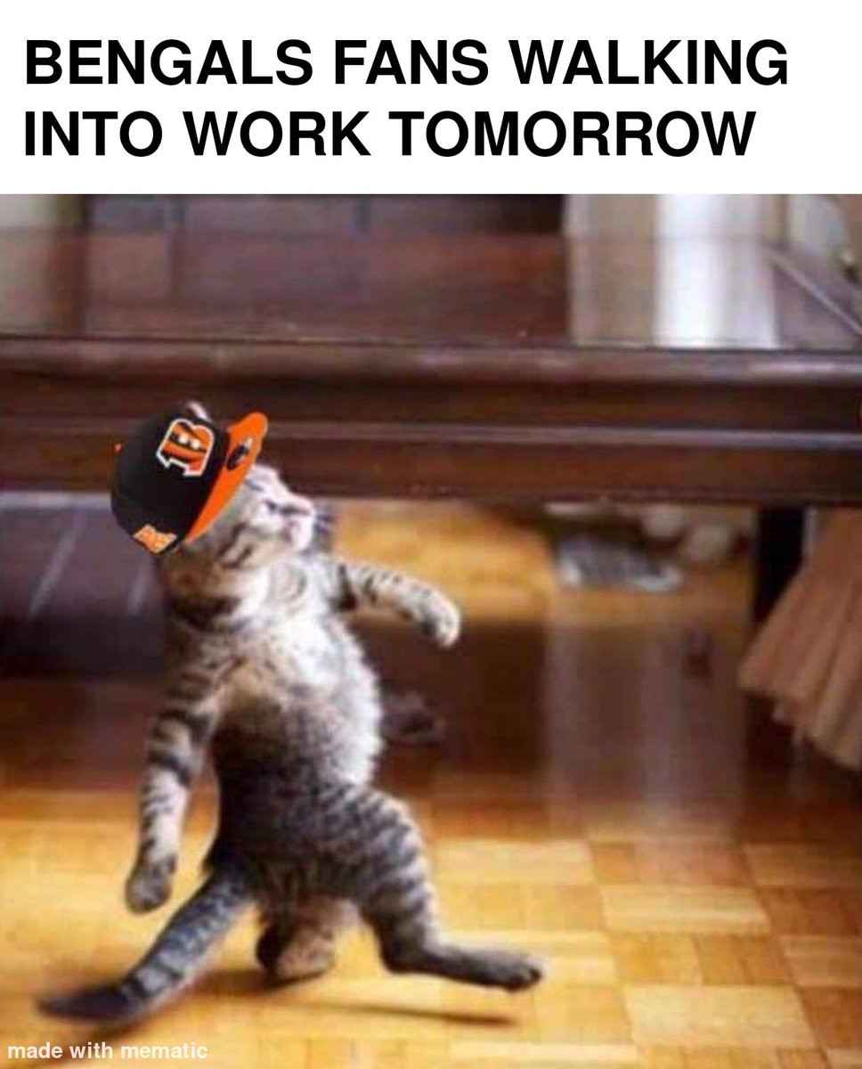 SirWhoDey's tweet photo. @Bengals https://t.co/tEsRin3Yxg