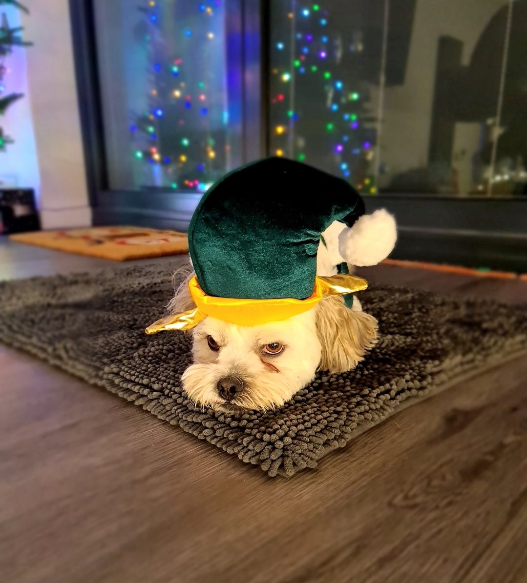 aaronlee_91's tweet photo. Ain't no better holiday
Everybody sayin' that we made it
Put that thing up on your wishlist
It's giving Christmas, oh-woah @chrisbrown https://t.co/O1Xizu2YBu