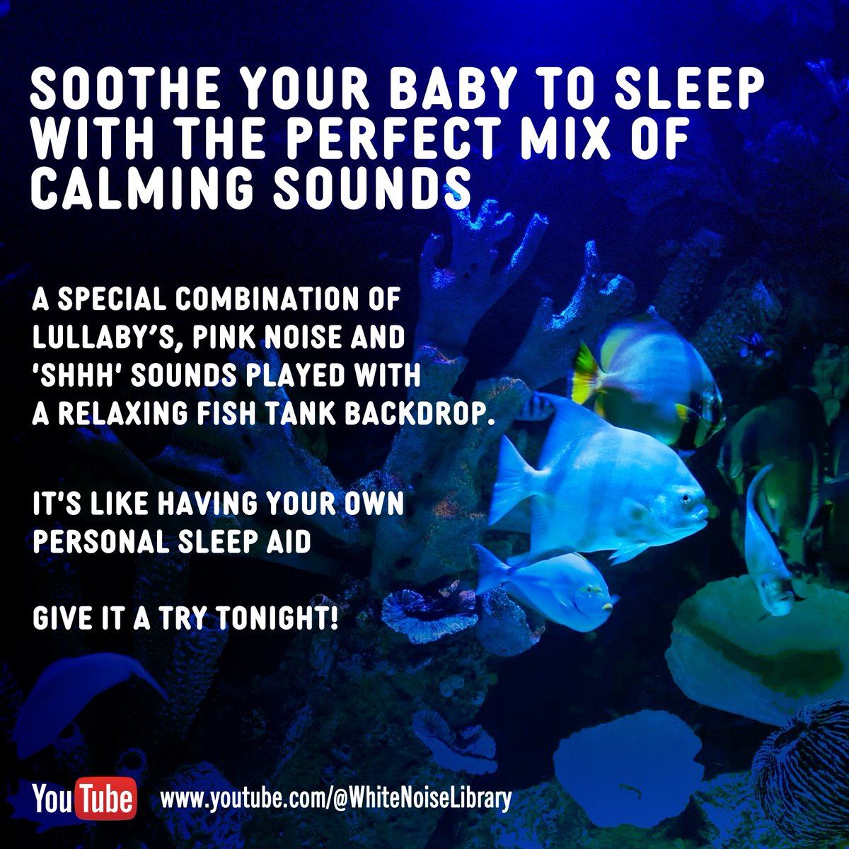 SleepFocusRelax's tweet photo. We’re excited to share our magical combination of three sounds - Lullaby's, Pink Noise and Shhh – sounds created especially for babies
https://t.co/YOosCFISIm
#easyparenting #parentingtips #sleepingbabies #restlessbaby #babysleeptips #lullaby #baby #pinknoise #whitenoise #mumtobe https://t.co/1psxrtY51v