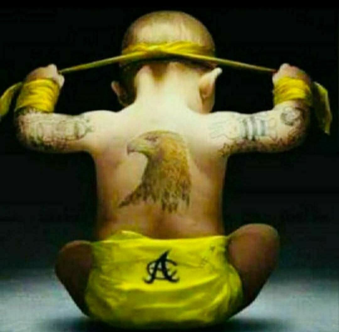 CalolyA's tweet image. Aguilas cibaeñas 💛🦅